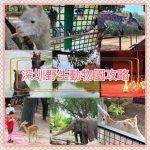 【深圳好去處】港澳居民僅需 $99 遊深圳野生動物園玩足一日！攻略｜開放時間｜遊玩路線｜交通比較｜門票價錢